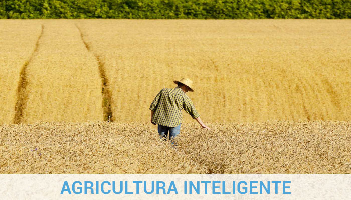 Agricultura IOT