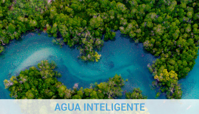 Agua IOT